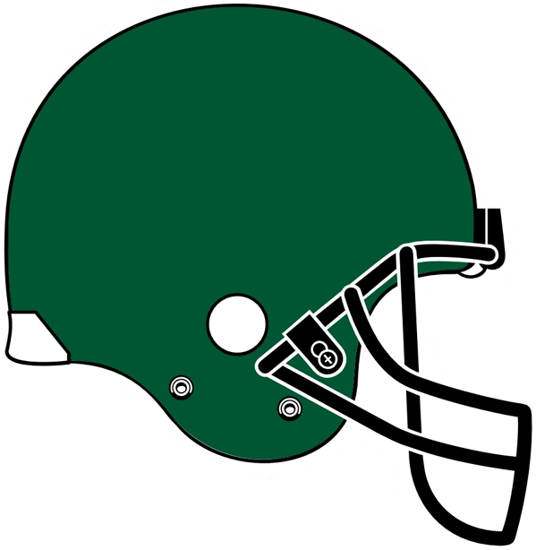 Tulane Green Wave 2005 Helmet Logo t shirts iron on transfers